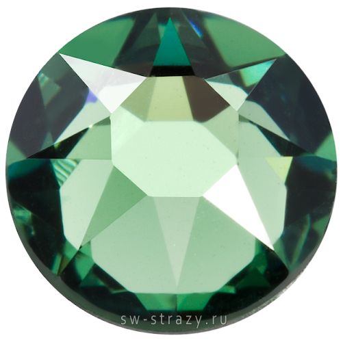 2058 ss 20 Erinite F