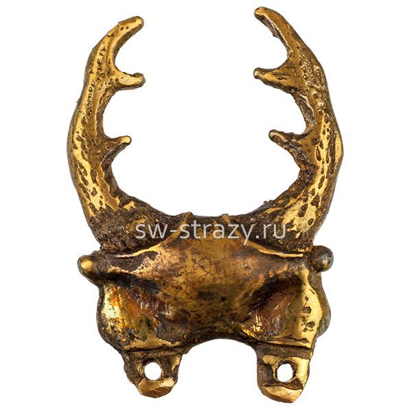 Жук-олень голова (3-002)